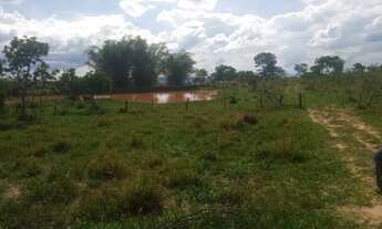 Imagem 6: Fazenda de 625 Hectares de Terras de Cultura e Cerrado Vermelho, Muita Madeira de Lei - Ri