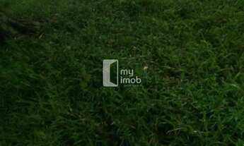 Imagem 4: Fazenda 40 Alqueires em Cocalzinho-GO