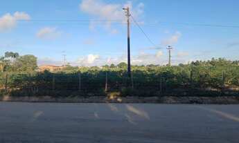 Imagem 2: Mini sítio Terreno / lote com venda por R$85.000