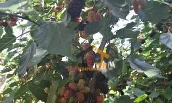 Imagem 2: Chácara com 5 dormitórios à venda, 1000 m² por R$ 1.400.000,00 - Parque São Gabriel - Itat