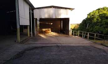 Imagem 6: Galpão à venda em Indaiatuba, Jardim Residencial Helvétia Park I, com 6521 m²