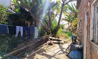 Imagem 2: Vendo essa casa no primavera