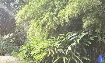 Imagem 6: CHACARA - CHÁCARAS SÃO BENTO - SP