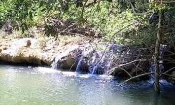 Imagem 2: Fazenda à venda, 00, Monte Alegre de Goiás, GO