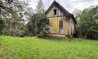 Imagem: AREA DE TERRAS EM FLORES DA CUNHA PARA EXPLORAÇÃO