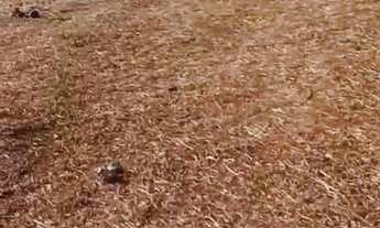 Imagem 5: Oportunidade Lote 12x30 Trevo do Francês!!!