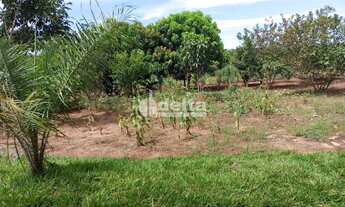 Imagem 5: Chácara Residencial disponível para Venda no bairro Área Rural em Uberlândia-MG