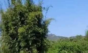 Imagem 2: APARTAMENTO - JOÃO PAULO - SC