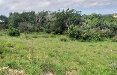 Imagem 5: Terreno à venda no Guajará