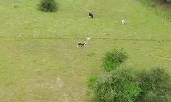 Imagem: Sítio com linda vista em águas claras-viamão