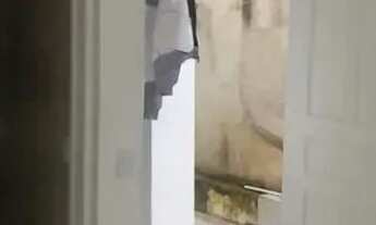 Imagem 7: Imóvel para aluguel com 40 metros quadrados com 1 quarto em Paulicéia - São Bernardo do Ca