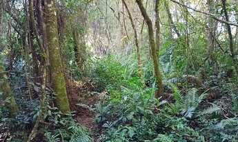 Imagem 6: Chacara Caminho do Vinho, Colônia Murici - São José dos Pinhais - PR