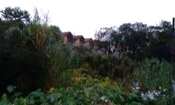 Imagem 3: Lote em Rua Salgado - Jardim Célia - Guarulhos/SP