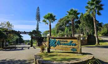 Imagem 2: Terreno à venda, 3333 m² por R$ 1.550.000,00 - Ratones - Florianópolis/SC