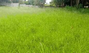 Imagem 5: VIANOPOLIS - BETIM/MG