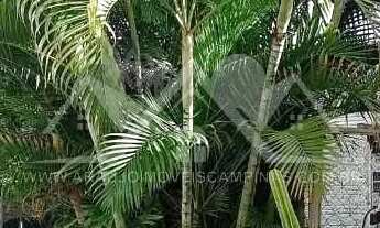 Imagem 5: Casa para Venda em Campinas, Parque dos Pomares, 3 dormitórios, 1 suíte, 2 banheiros, 5 va