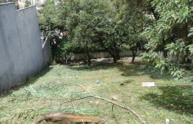 Imagem 6: TERRENO EM BAIRRO BEM ARBORIZADO..