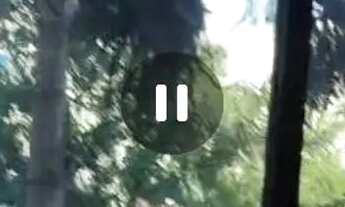 Imagem 7: Apartamento Studio Brasil