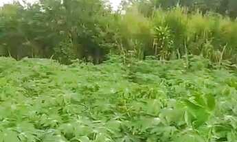 Imagem 4: Terreno com casa