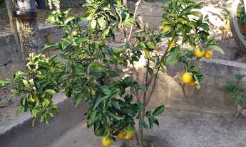 Imagem 5: Ótima oportunidade em Esmeraldas