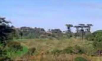 Imagem 4: TERRENO URBANO COM 1420m²