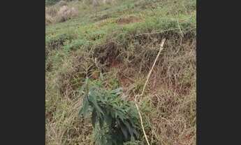 Imagem 3: M5- vendemos parcelados