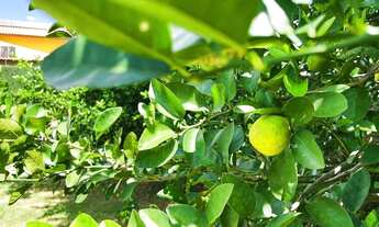 Imagem 5: Chácara condomínio parque dos cisnes 6 quartos 2080 metros próximo campus UFG setor Itati