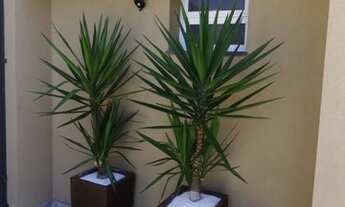 Imagem 2: EXCELENTE OPORTUNIDADE PARA LOCAÇÃO!!!!! FREGUESIA DO Ó!!!