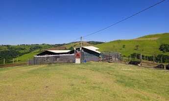 Imagem 4: Fazenda à venda, 33 alqueires por R$ 6.000.000 - Zona Rural - Palmital/PR