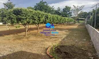 Imagem 5: Chácara de 50x55 dentro da Cidade