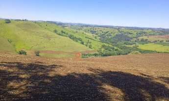Imagem 7: Fazenda à venda, 33 alqueires por R$ 6.000.000 - Zona Rural - Palmital/PR