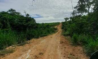 Imagem 6: Lotes formados na região de ruropolis PA dão vários lotes