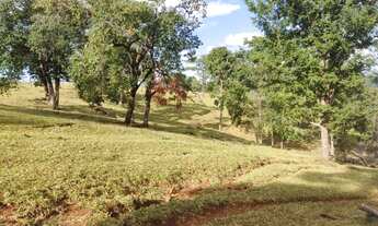 Imagem 5: Fazenda na Cidade de Araguari
