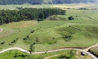 Imagem 4: FAZENDA - 43 HECTARES - 5 km da BR