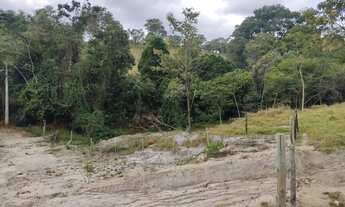 Imagem 5: Fazenda/Sítio/Chácara 200.000m2, 20 Hectares, Muita Água, Próximo Tavares, FLORESTAL MG