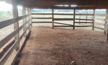 Imagem 6: Fazenda na Cidade de Araguari