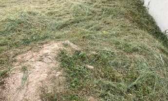 Imagem 3: Lote/Terreno para venda com 250 m² em Jardim Itapoan - Monte Mor - SP