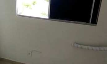 Imagem 4: Costa Atlântica 100% nascente liga 9 8 7 4 8 3 1 0 8 DIEGO 9989F