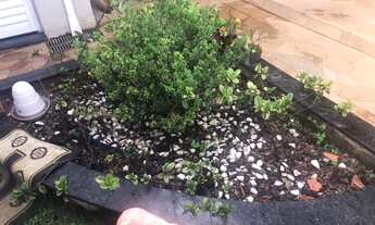 Imagem 5: Fazenda/Sítio/Chácara para venda tem 1125 metros quadrados com 4 quartos