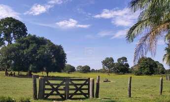 Imagem 3: Fazenda Região Poconé - MT
