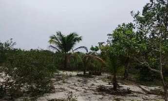 Imagem 8: Vende-se Fazenda Rio Grande / Perimetro: 3,162,32m