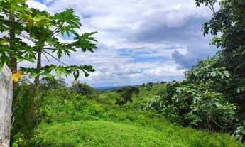 Imagem 6: Vende área de 82 hetares em Areia (PB