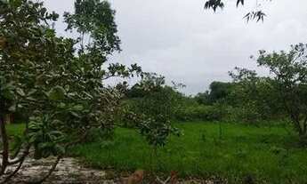 Imagem 16: Vende-se Fazenda Rio Grande / Perimetro: 3,162,32m