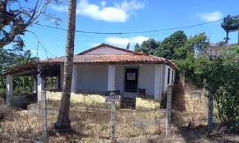 Imagem 7: A Casa Antiga em Área Nobre de Mulungu-Ce (Localidade de Lameirão