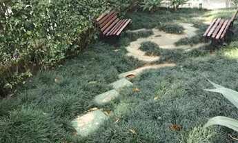 Imagem 3: APARTAMENTO - VILA MARIANA - SP