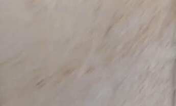 Imagem 6: CASA RESIDENCIAL em SÃO JOSÉ DOS CAMPOS - SP, COSTINHA