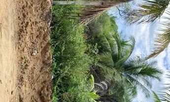 Imagem 3: Vendo terreno em porto de Sauípe