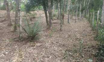 Imagem 4: Terreno com poço artesiano 1600 mts² 200mts do asfalto