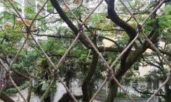 Imagem 3: Fonte da Saudade 180m2 juntinho lagoa!!!