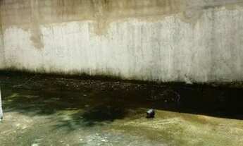 Imagem 6: Alugo Ótima casa cidade ocidental (rua do Detran